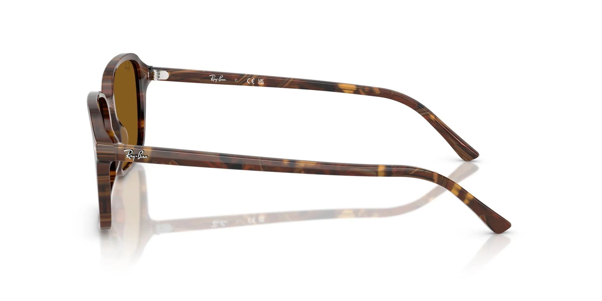 Ray-Ban Raimond RB2231